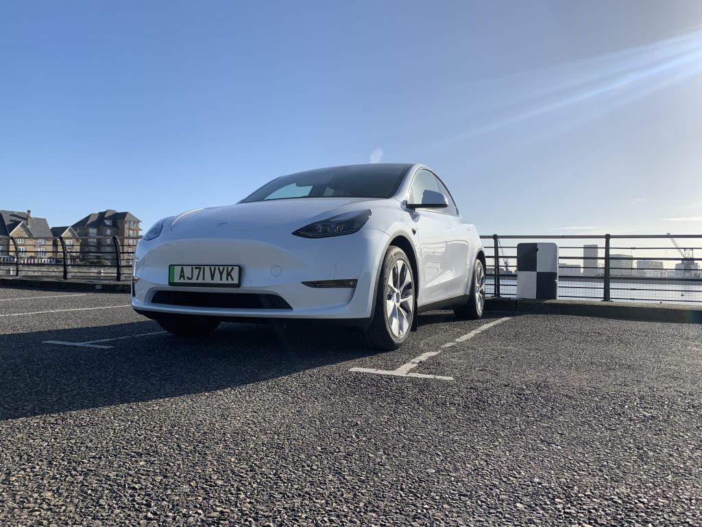Tesla white