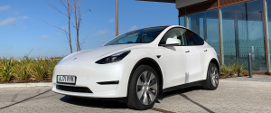 Photogenic Tesla Model Y image