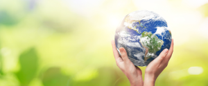 Eco Globe