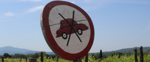 Car ban feature image