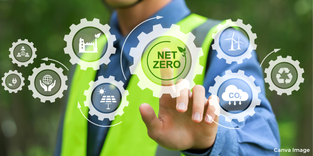 net zero feature image