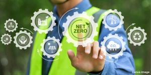 net zero feature image