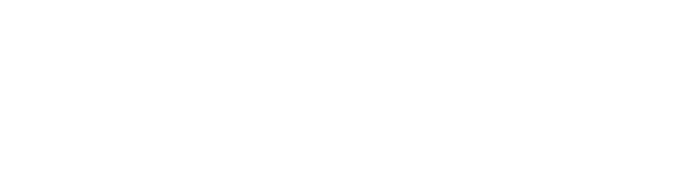 EVision Electric Vehicles